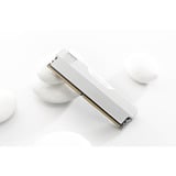 KLEVV 32 GB DDR5-6000 (2x 16 GB) Kit werkgeheugen Wit, KD5AGUA80-60A300M, URBAN V RGB, XMP 3.0, EXPO