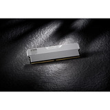 KLEVV 32 GB DDR5-6000 (2x 16 GB) Kit werkgeheugen Wit, KD5AGUA80-60A300M, URBAN V RGB, XMP 3.0, EXPO