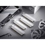 KLEVV 32 GB DDR5-6000 (2x 16 GB) Kit werkgeheugen Wit, KD5AGUA80-60A300M, URBAN V RGB, XMP 3.0, EXPO