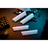 KLEVV 32 GB DDR5-6000 (2x 16 GB) Kit werkgeheugen Wit, KD5AGUA80-60A300M, URBAN V RGB, XMP 3.0, EXPO