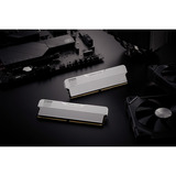KLEVV URBANE V RGB 32 GB DDR5-6000 (2x 16 GB) werkgeheugen Wit, KD5AGUA80-60A300M, XMP 3.0, EXPO