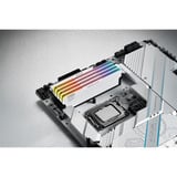 KLEVV URBAN V RGB 32 GB DDR5-6000 (2x 16 GB) werkgeheugen Wit, KD5AGUA80-60A300M, XMP 3.0, EXPO