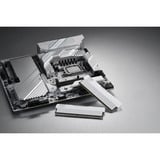 KLEVV URBAN V RGB 32 GB DDR5-6000 (2x 16 GB) werkgeheugen Wit, KD5AGUA80-60A300M, XMP 3.0, EXPO