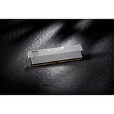 KLEVV URBAN V RGB 32 GB DDR5-6000 (2x 16 GB) werkgeheugen Wit, KD5AGUA80-60A300M, XMP 3.0, EXPO