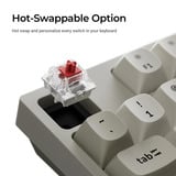 Keychron C1 Pro-M1 RGB mechanisch toetsenbord Grijs, US lay-out (QWERTY), Keychron Super Red, 80% (TKL)	, RGB leds, OSA Double-Shot PBT, hot swap, 8000 Hz
