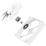 NZXT F140Q case fan Wit