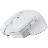 PowerColor ALPHYN AM10 Wireless Gaming Mouse Wit, 100 - 26000 DPI, 8K, RGB, USB / 2.4G / Bluetooth 5.2