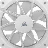 Corsair RS120 ARGB case fans Wit, 3 stuks, 120 x 120 x 25 mm, PWM