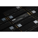 KLEVV CRAS C910G 4 TB SSD Zwart, K04TBM2SP0-10G, PCIe Gen 4.0 x4, NVMe 2.0