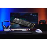 KLEVV CRAS C910G 4 TB SSD Zwart, K04TBM2SP0-10G, PCIe Gen 4.0 x4, NVMe 2.0