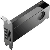 NVIDIA® RTX PRO 2000 Blackwell grafische kaart GDDR7 ECC, 4x Mini-DisplayPort