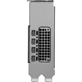 NVIDIA® RTX PRO 2000 Blackwell grafische kaart GDDR7 ECC, 4x Mini-DisplayPort