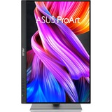 ASUS ProArt Display PA248CNV 24" monitor Zwart/zilver, 75 Hz, HDMI, DisplayPort, USB, LAN, Audio