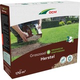 DCM Graszaad Plus Herstel 2,55 kg zaden Tot 170 m²