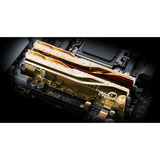 G.Skill 64 GB DDR5-6000 (2x 32 GB) Kit werkgeheugen Goud, F5-6000J2636H32GX2-TR5NG, Trident Z5 Royal Neo, EXPO