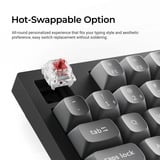 Keychron K10 Max-H13 RGB mechanisch toetsenbord Zwart, US lay-out (QWERTY), Keychron Apex Brown, 100%, RGB leds, OSA Double-shot PBT, hot swap, USB-C | 2.4 GHz | Bluetooth 5.1
