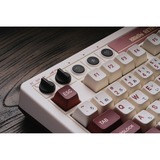 8BitDo Retro Mechanical Keyboard Fami Edition Beige, US lay-out (QWERTY), Kailh Box White, 80% (TKL)	, TKL, Bluetooth Low Energy, Wireless 2.4G, USB