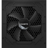 GIGABYTE GP-UD1000GM PG5 1000W voeding  Zwart, 4x PCIe, Full kabelmanagement