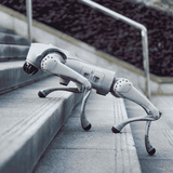 Unitree  robot Grijs