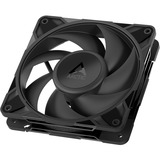ARCTIC P12 Pro PST CO case fan Zwart
