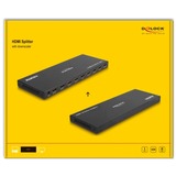DeLOCK HDMI Splitter 1x HDMI in > 8x HDMI out, 4K 60Hz Zwart, met downscaler