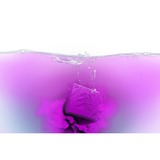 Spyra SpyraColor Yellow & Purple Verf 