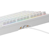 Glorious GMMK 3 75% Prebuilt Wired White, gaming toetsenbord Wit, US lay-out, Glorious Fox, 75%, RGB, GPBT-doubleshot keycaps, Knob