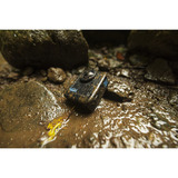 GoPro MAX2 videocamera Zwart, Wi-Fi 6, Bluetooth LE 5.3, USB-C