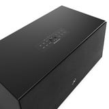 Audio Pro C20 W luidspreker Zwart, Bluetooth 5.0, WiFi