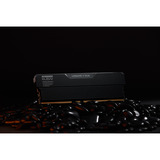 KLEVV URBANE V RGB 32 GB DDR5-6000 (2x 16 GB) werkgeheugen Zwart, KD5AGUA80-60A300V, XMP 3.0, EXPO