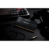 KLEVV URBANE V RGB 32 GB DDR5-6000 (2x 16 GB) werkgeheugen Zwart, KD5AGUA80-60A300V, XMP 3.0, EXPO