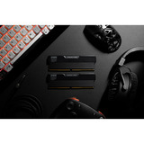 KLEVV URBANE V RGB 32 GB DDR5-6000 (2x 16 GB) werkgeheugen Zwart, KD5AGUA80-60A300V, XMP 3.0, EXPO