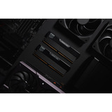 KLEVV URBANE V RGB 32 GB DDR5-6000 (2x 16 GB) werkgeheugen Zwart, KD5AGUA80-60A300V, XMP 3.0, EXPO