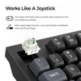 Keychron Q5 HE 8K Magnetic Switch Keyboard Wit, US lay-out (QWERTY), Keychron Ultra-Fast Lime, 96%, RGB leds, OSA double-shot PBT, hot swap, Knob