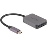 DeLOCK USB-C kaartlezer voor SD of micro SD geheugenkaarten Grijs