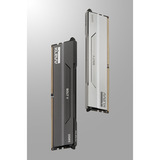 KLEVV 64 GB DDR5-6000 (2x 32 GB) Kit werkgeheugen Wit, KD5BGUA80-60A300I, BOLT V, XMP 3.0, EXPO