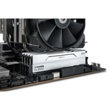 KLEVV 64 GB DDR5-6000 (2x 32 GB) Kit werkgeheugen Wit, KD5BGUA80-60A300I, BOLT V, XMP 3.0, EXPO