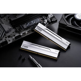 KLEVV 64 GB DDR5-6000 (2x 32 GB) Kit werkgeheugen Wit, KD5BGUA80-60A300I, BOLT V, XMP 3.0, EXPO