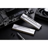 KLEVV BOLT V 64 GB DDR5-6000 (2x 32 GB) werkgeheugen Wit, KD5BGUA80-60A300I, XMP 3.0, EXPO
