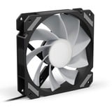 Sharkoon SHARK Mirror RGB PWM Reverse case fan Zwart, 4-pin PWM