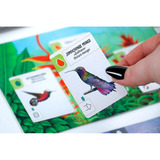 999 Games Wingspan: Midden- en Zuid-Amerika Bordspel Uitbreiding, Nederlands, 1 - 5 spelers, 40 - 70 minuten, Vanaf 10 jaar