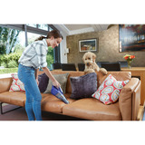 BLACK+DECKER 18V 4IN1 PowerSeries Extreme steelstofzuiger + 12V PET Kruimeldief met dierenborstel Bundel Grijs/oranje
