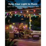Govee Lichtslinger met helder lampen voor buiten 1-Pack (15 LED | 15m) verlichting Zwart