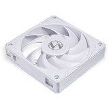 Lian Li UNI FAN P28 Single White case fan Wit, 4-pins PWM fan-connector
