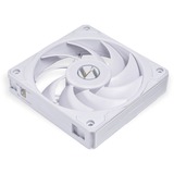 Lian Li UNI FAN P28 case fan Wit, 4-pins PWM fan-connector