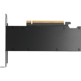 NVIDIA® RTX PRO 2000 Blackwell grafische kaart GDDR7 ECC, 4x Mini-DisplayPort, Bulk