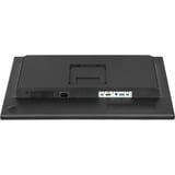 iiyama ProLite XB2495WSC-B1 24" monitor Zwart (mat), HDMI, USB-C, Audio, 100 Hz