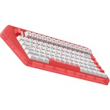 Iqunix OG80 Joy Vendor Wireless Mechanical Keyboard Rood, US lay-out (QWERTY), IQUNIX Moonstone, 80% (TKL)	, RGB leds, Hot-swappable, PBT, 2.4GHz | Bluetooth 5.1 | USB-C