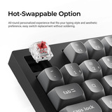 Keychron K10 Max-H14 RGB mechanisch toetsenbord Zwart, US lay-out (QWERTY), Keychron Apex Banana, 100%, RGB leds, OSA Double-shot PBT, hot swap, USB-C | 2.4 GHz | Bluetooth 5.1