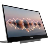 Lenovo L16 16" monitor Zwart, 2x USB-C